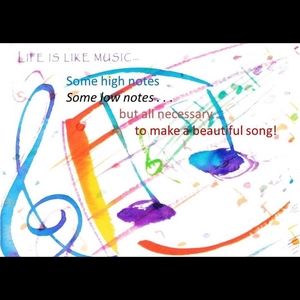 Meet your Posher, Donna